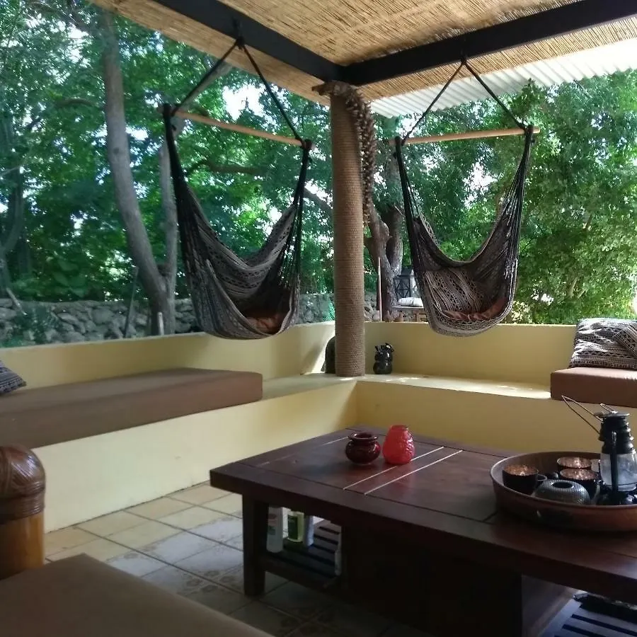 Art Bnb - Art, Nature, Adventure, Away From Tourism, Among Locals, Many Extras Savaneta 0*,