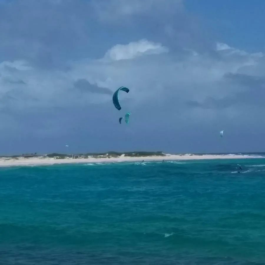 Art Bnb - Art, Nature, Adventure, Away From Tourism, Among Locals, Many Extras Savaneta 0*,  Aruba