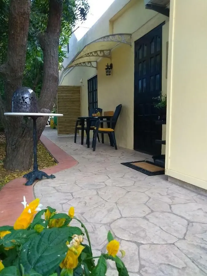 Art Bnb - Art, Nature, Adventure, Away From Tourism, Among Locals, Many Extras Savaneta Bed and breakfast