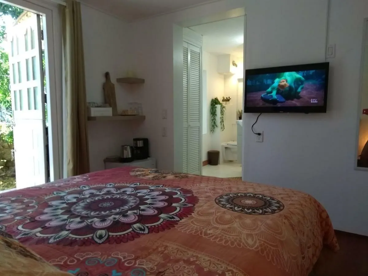 Art Bnb - Art, Nature, Adventure, Away From Tourism, Among Locals, Many Extras Savaneta Bed and breakfast