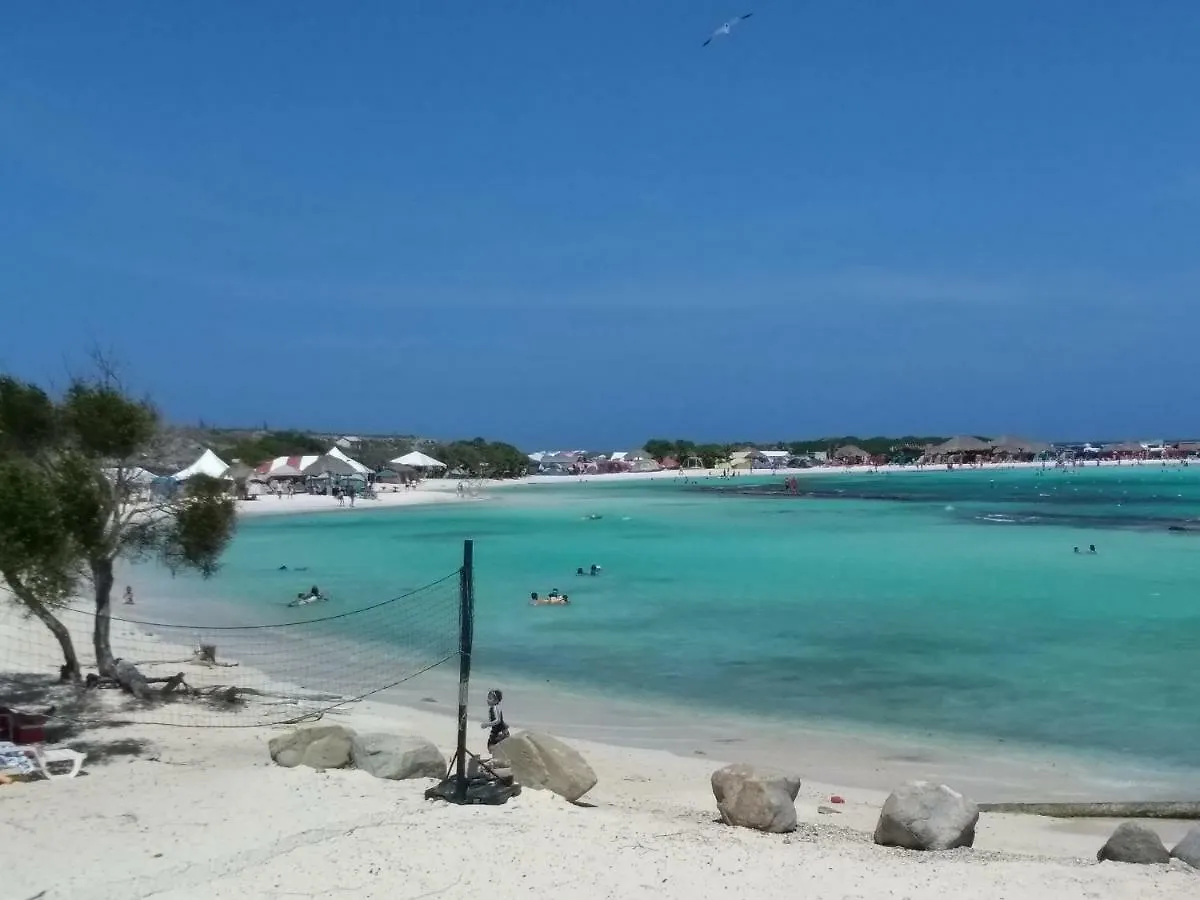 Bed and breakfast Art Bnb - Art, Nature, Adventure, Away From Tourism, Among Locals, Many Extras Savaneta Aruba
