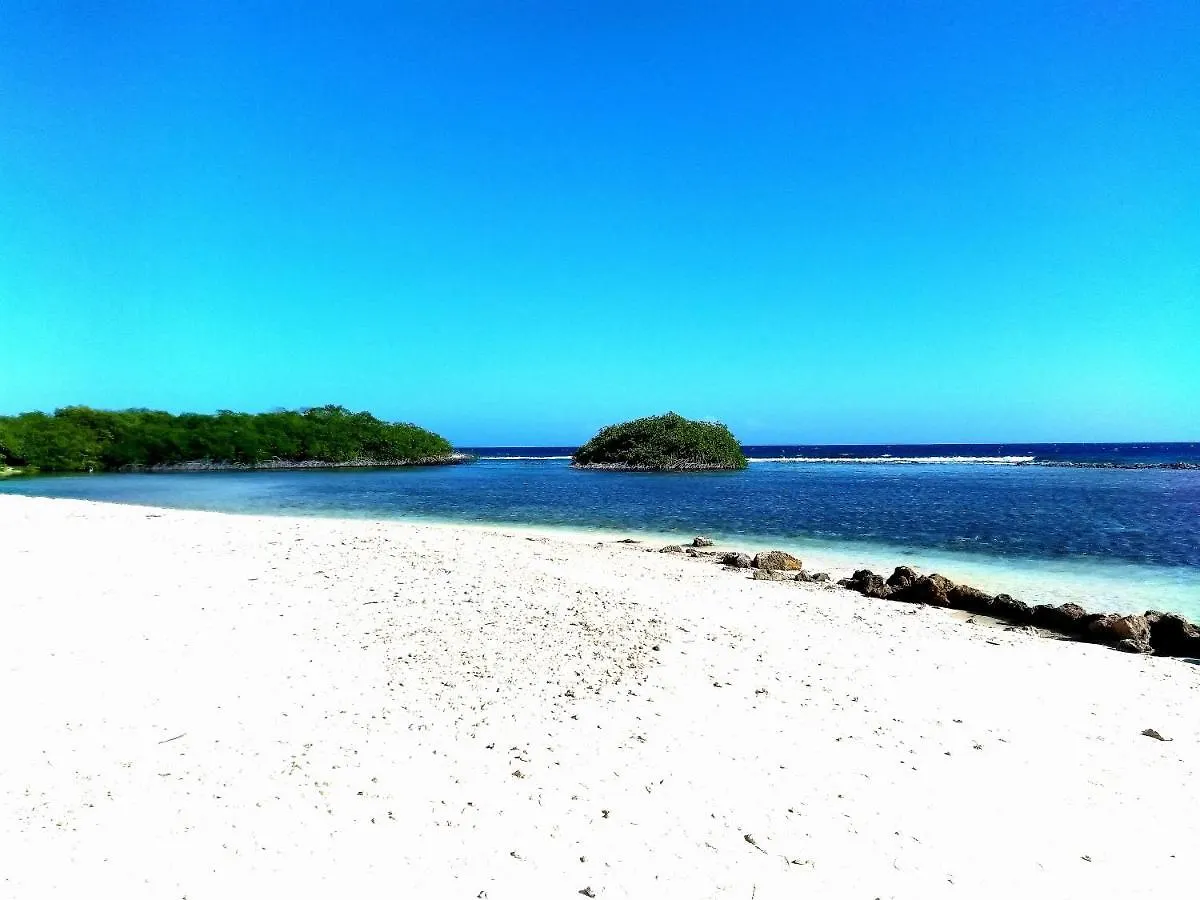 Art Bnb - Art, Nature, Adventure, Away From Tourism, Among Locals, Many Extras Savaneta Aruba