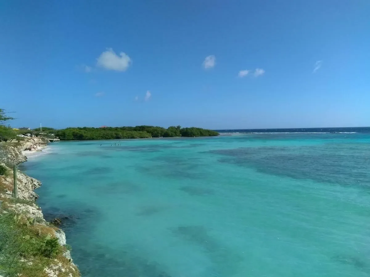 Art Bnb - Art, Nature, Adventure, Away From Tourism, Among Locals, Many Extras Savaneta 0*,  Aruba