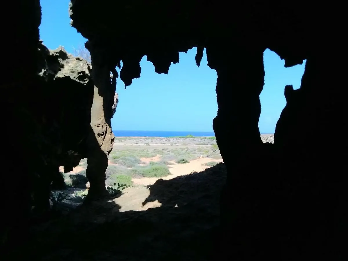 Bed & Breakfast Art Bnb - Art, Nature, Adventure, Away From Tourism, Among Locals, Many Extras Savaneta Aruba