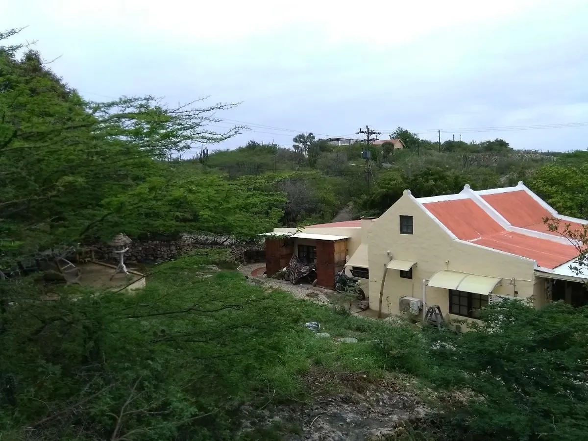 Bed & Breakfast Art Bnb - Art, Nature, Adventure, Away From Tourism, Among Locals, Many Extras Savaneta